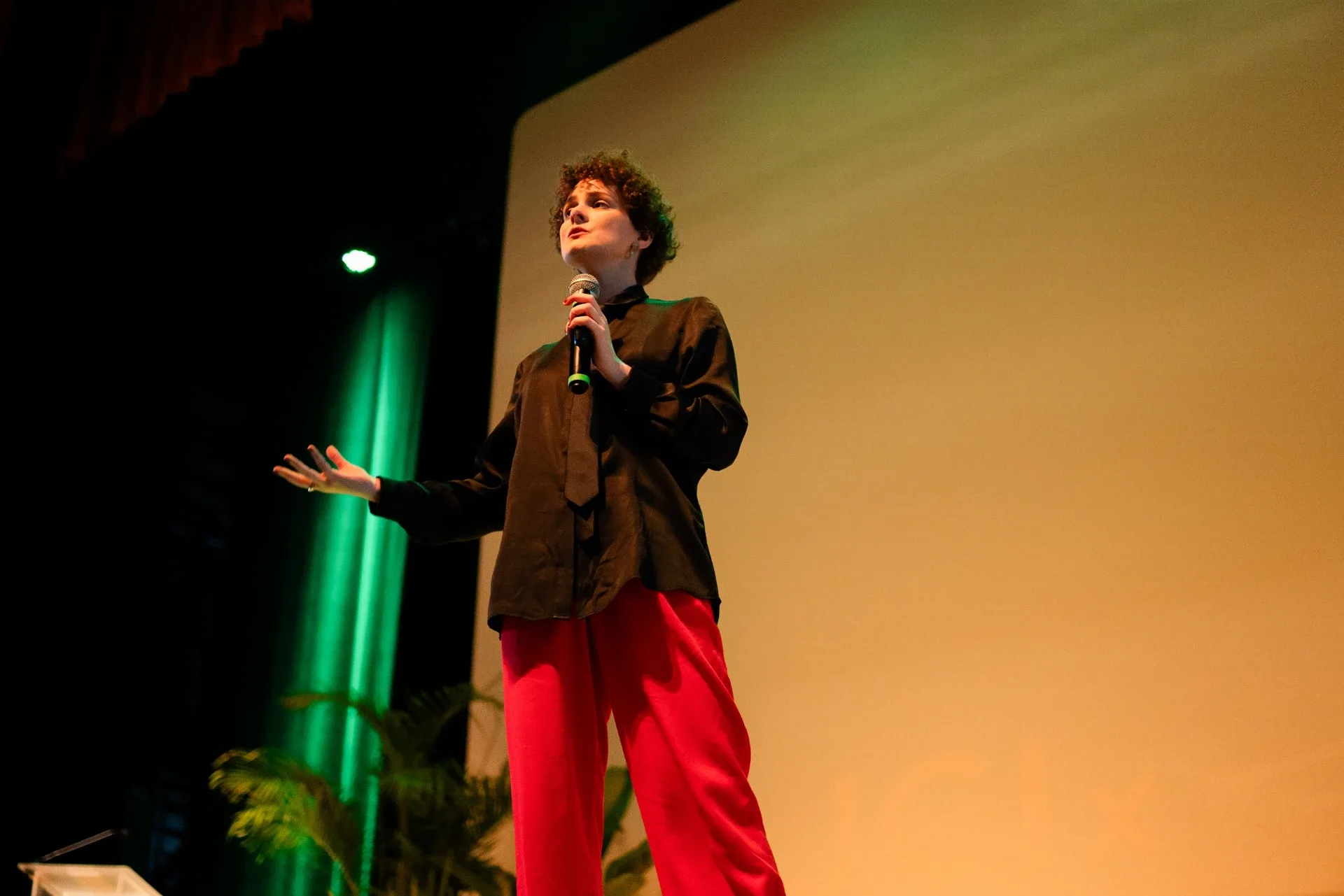 Fernanda Werner gesticulando no palco